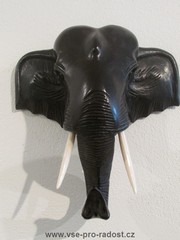 Slon hlava